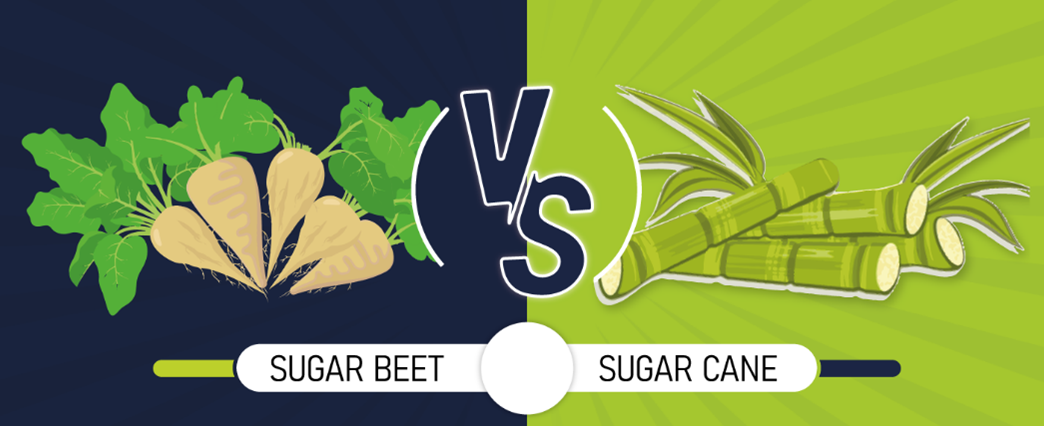 beet sugar vs cane