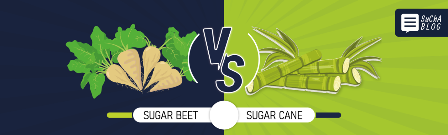 Differences in the nutritional composition of sugar cane and beet molasses